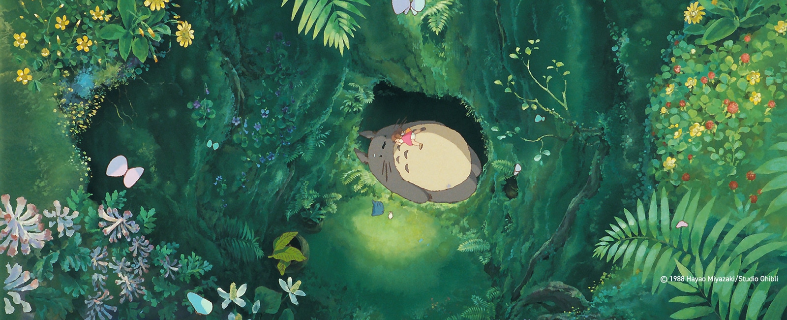 The World of Studio Ghibli(스튜디오 지브리의 세계)